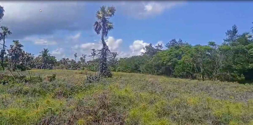 East Sumba property for sale