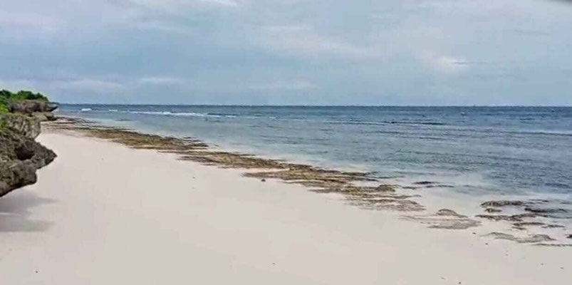 Sumba property for sale