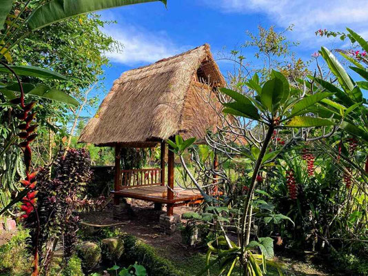 Penestanan house for sale