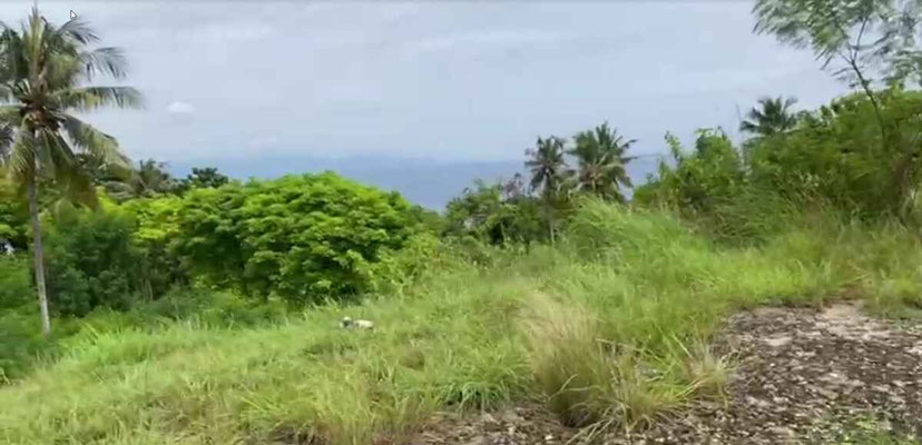 West Sumba real estate for sale