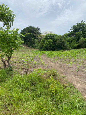 West Sumba real estate for sale