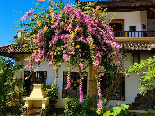 East Bali villa for sale