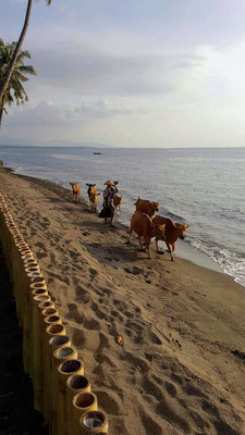 North Lombok property for sale