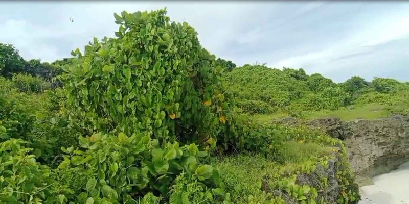 Sumba real estate for sale
