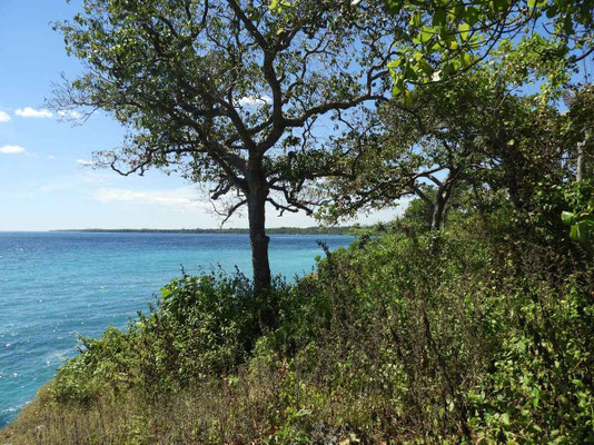 Sumba land for sale