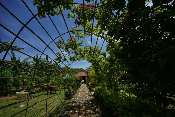 Sumbawa property for sale