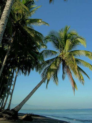 North Lombok real estate for sale