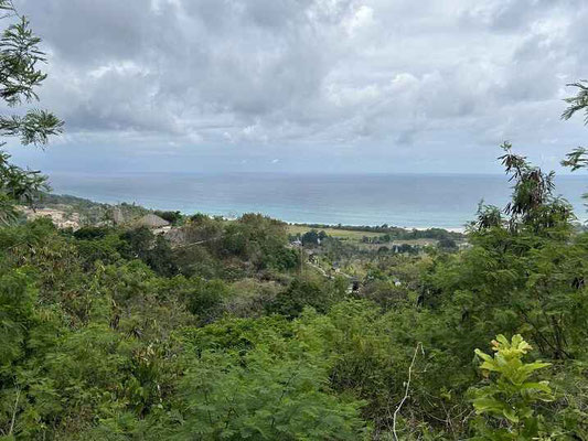 Sumba property for sale
