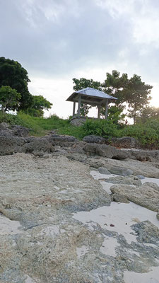 West Sumba land for sale