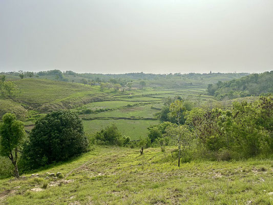 Sumba land for sale