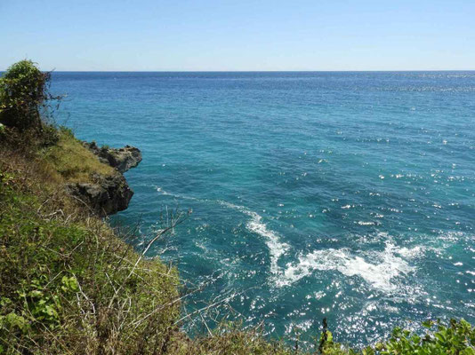 Sumba land for sale