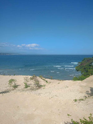 Sumba land for sale