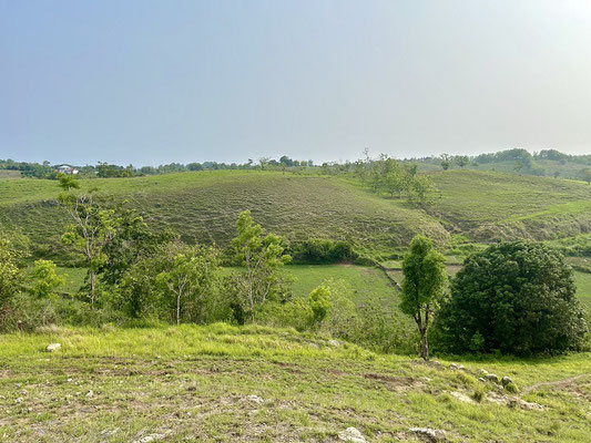 Sumba land for sale