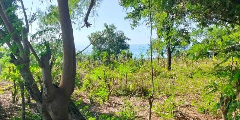 South Sumba land for sale