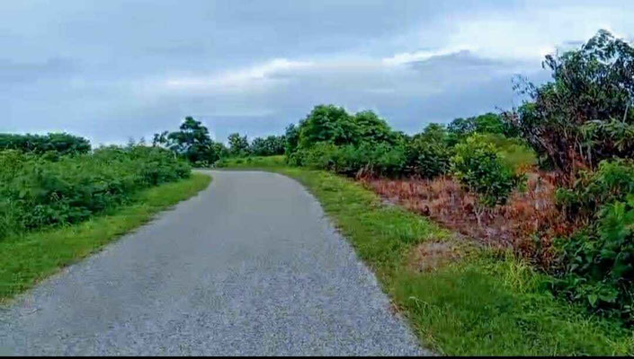 Sumba property for sale