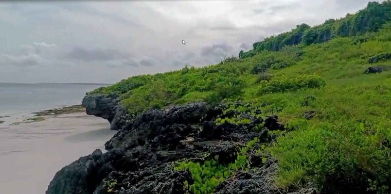 Sumba real estate for sale