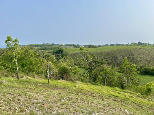 Sumba land for sale
