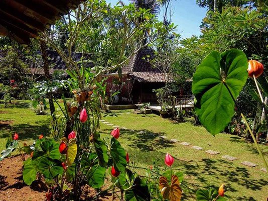 Ubud property for sale