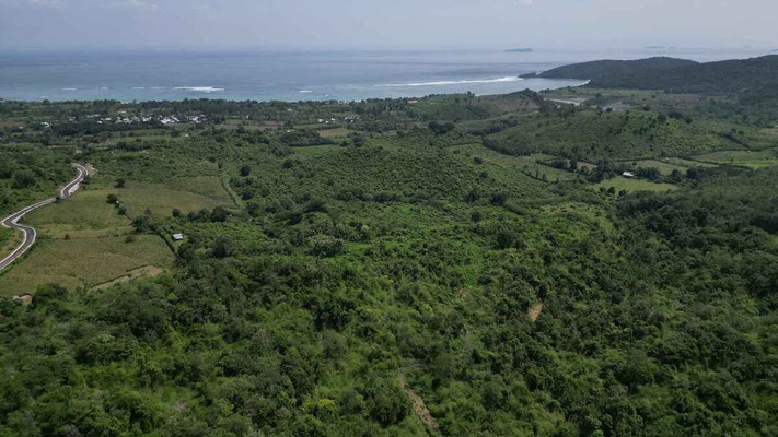 Sumbawa land for sale