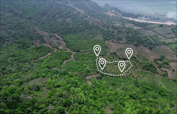 Sumbawa land for sale