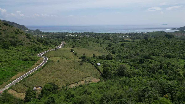 Sumbawa land for sale
