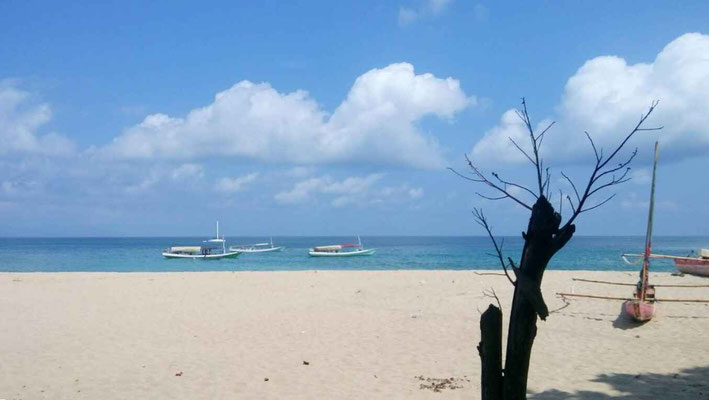 Sumba land for sale