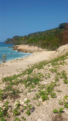 Sumba land for sale