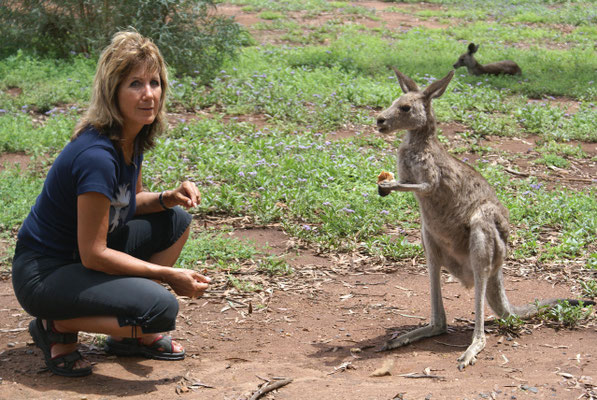 Wir wissen es, Wildtiere bitte nicht füttern, aber nur für das eine Foto. Binnaway, New Sout Wales, Australien