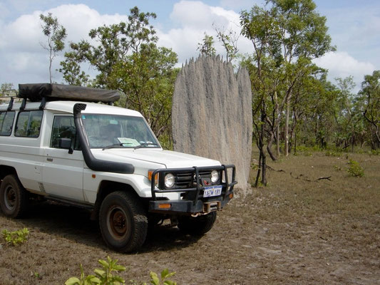 Magnetischer Termitenbau im Litchfield National Park / Australien