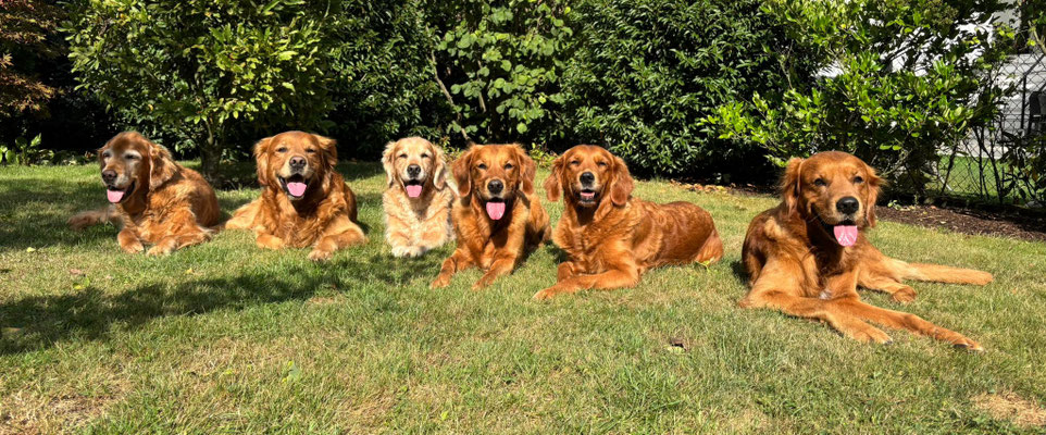 April, Buddy, Juli, May, Summer und Henri