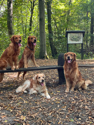 May mit Bruder Henri (B-Wurf), Mama Juli und Buddy (A-Wurf)