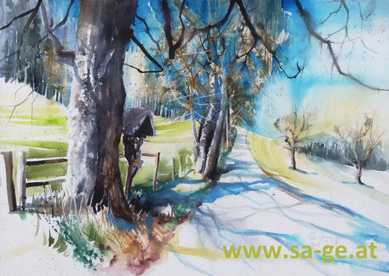 Wölfnitz, Griffen, 76x54cm, 2021/04