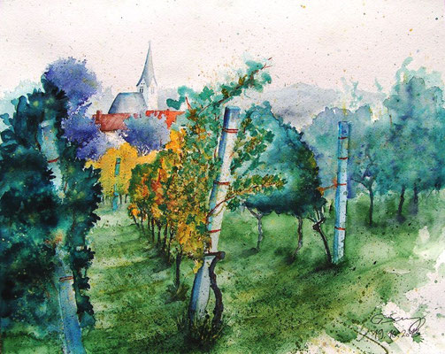 Weingarten in St. Johann im Lavanttal, 40x50cm, 2013* -X-