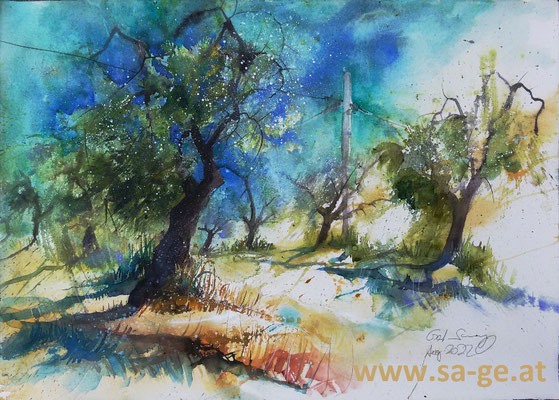 Olivenhain bei San Gimignano, , 74x56cm, 2022/08