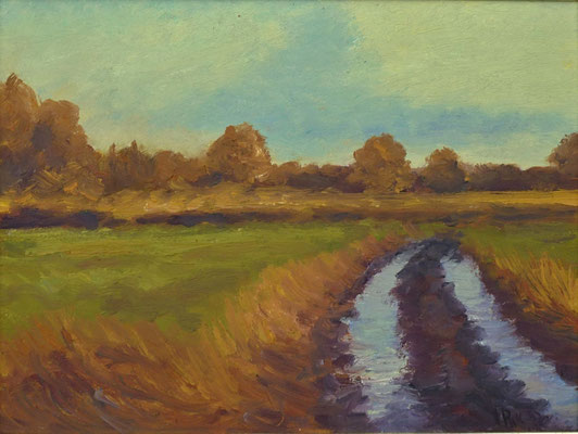 32) Hans Pick: Moorweg (24 x 30) Verkauft