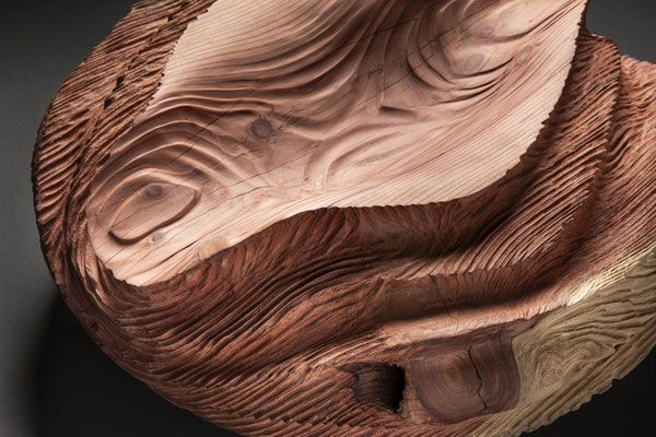 #23/41 | Mammutbaum, Giant sequoia, ø 65 cm  H 26 cm