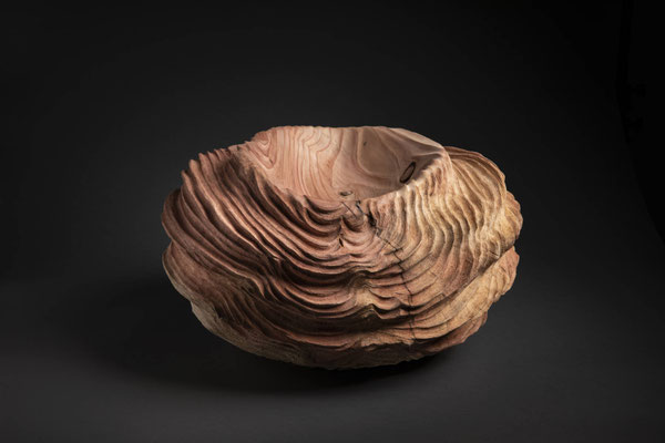 #21/47 | Mammutbaum, Giant sequoia, ø 57 cm  H 27 cm