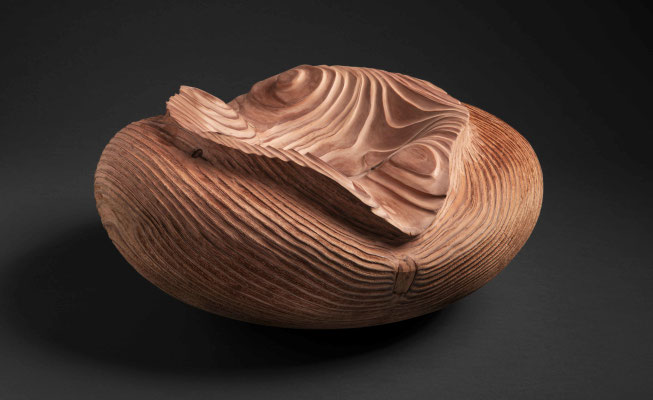 #24/45 | Mammutbaum, Giant sequoia, ø 51 cm  H 24 cm