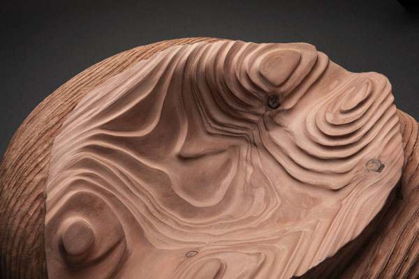 #24/45 | Mammutbaum, Giant sequoia, ø 51 cm  H 24 cm