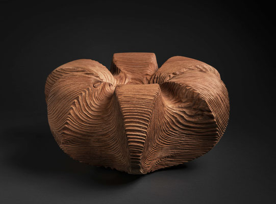 #20/03 | Mammutbaum, Giant sequoia, ø 56 cm  H 26 cm