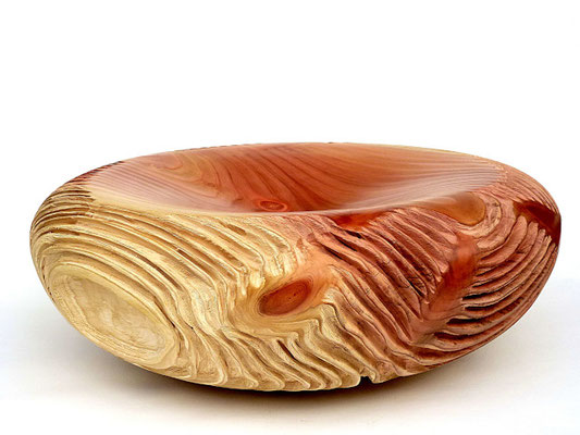 #318a | Mammutbaum, Giant sequoia, ø 59 cm  H 22 cm
