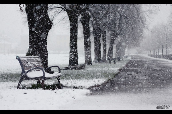 1ère neige, Isère.