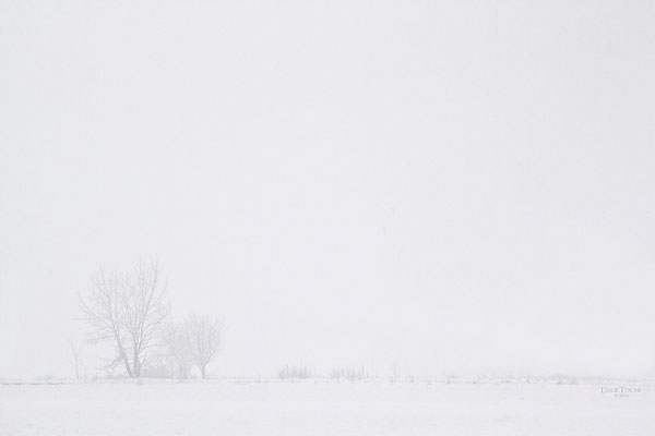 Between White&White