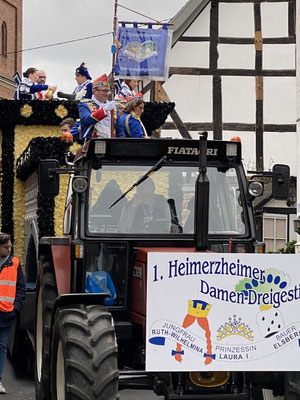 Der Wagen des Damen-Dreigestirns beschloss den Zug.