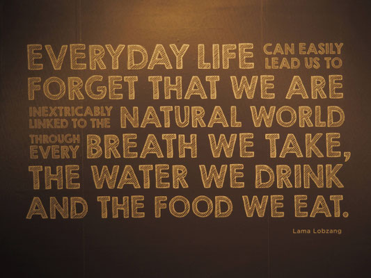 Download Weisheiten abenteuer sprueche For iPhone Free