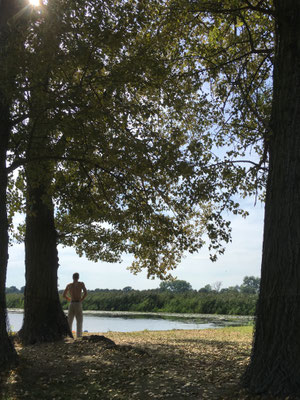 Naturbadestrand Sophienthaler Polder