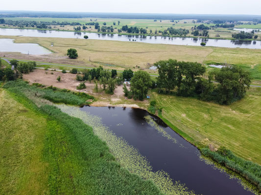 Der Sophienthaler Polder von Oben