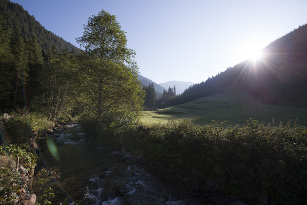 Urige Natur Märzengrund