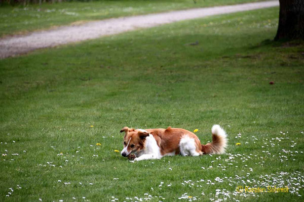 Baila vom Poppenbütteler Berg