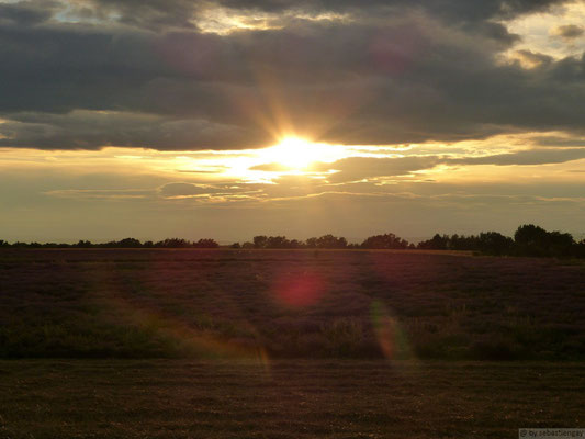 Coucher Du Soleil Sur Les Lavandes Sebastiengayphoto